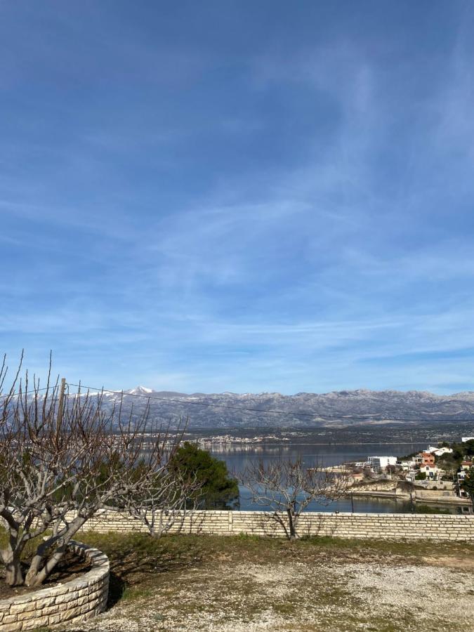 Apartments Mikecin Novigrad  ภายนอก รูปภาพ