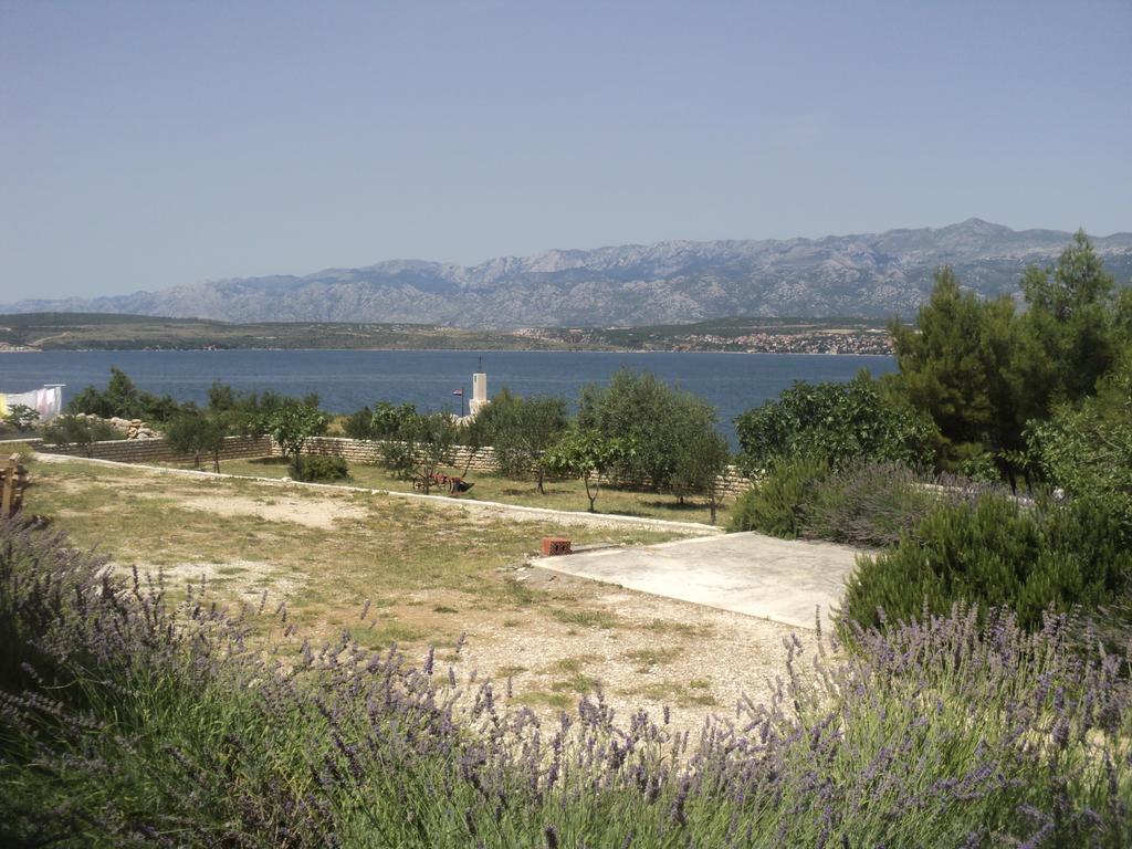 Apartments Mikecin Novigrad  ภายนอก รูปภาพ