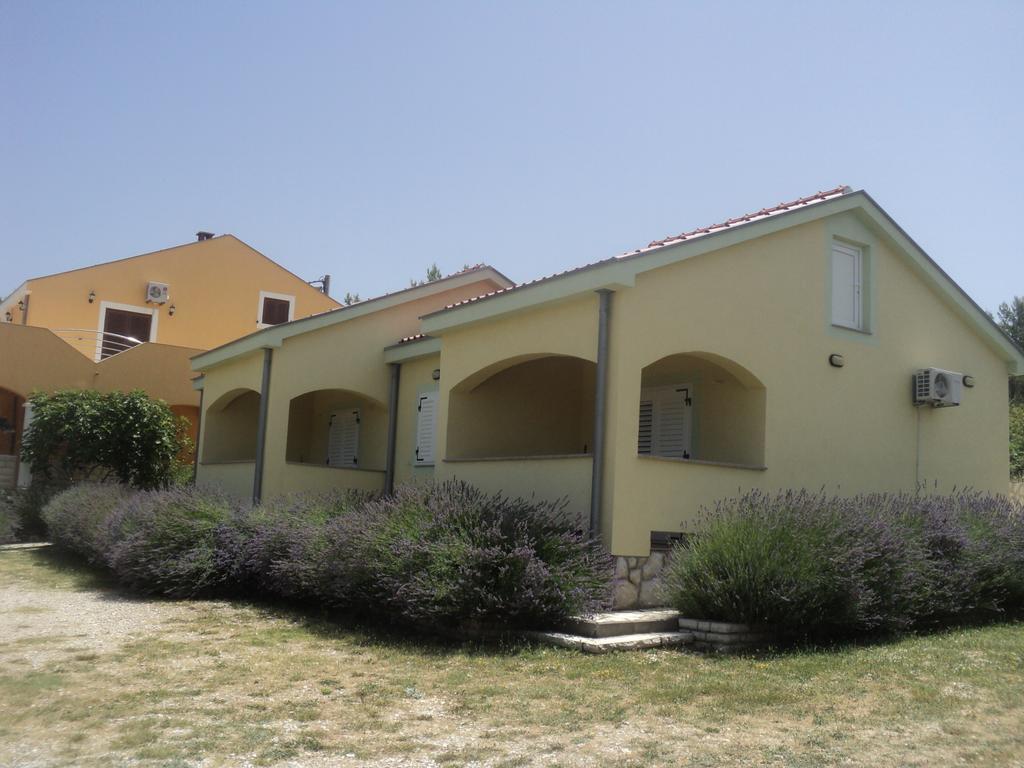 Apartments Mikecin Novigrad  ภายนอก รูปภาพ